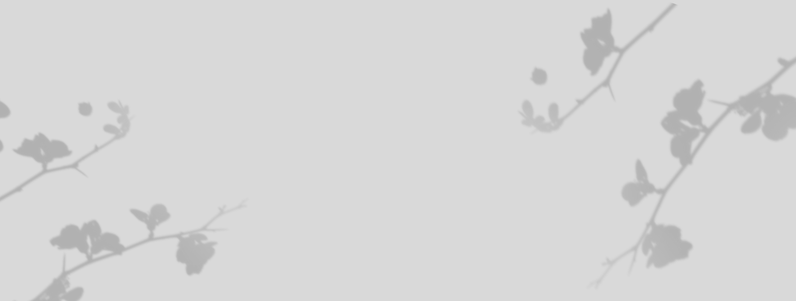 holi minimalist banner